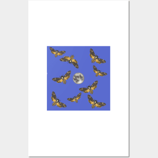 Death's Head Moth and Moons Blue 1 Posters and Art